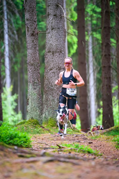 Krkonošský canicross - Jilemnice – 30. května 2026