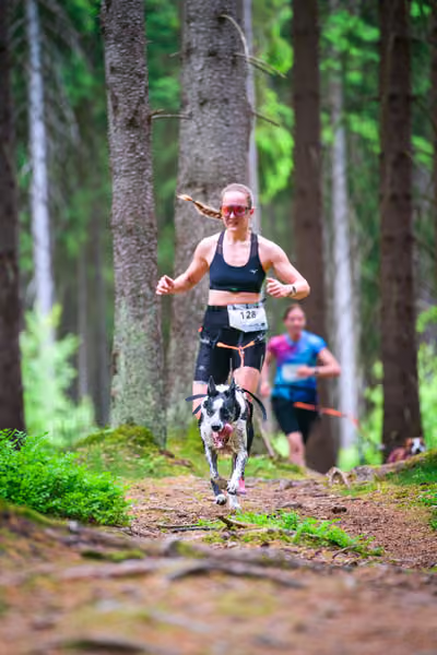Krkonošský canicross - Jilemnice – 30. května 2026