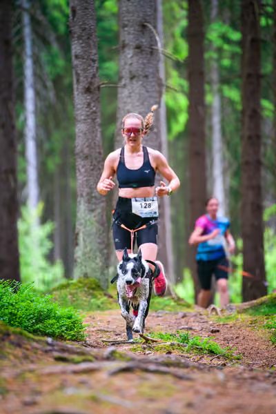 Krkonošský canicross - Jilemnice – 30. května 2026