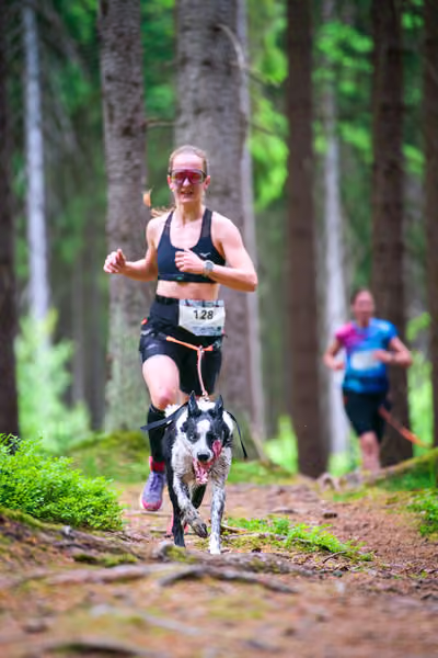 Krkonošský canicross - Jilemnice – 30. května 2026