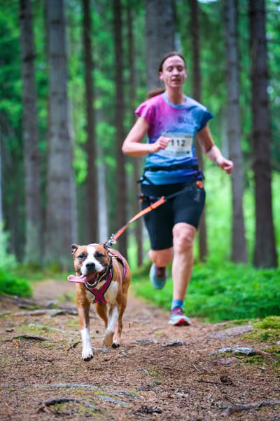 Krkonošský canicross - Jilemnice – 30. května 2026