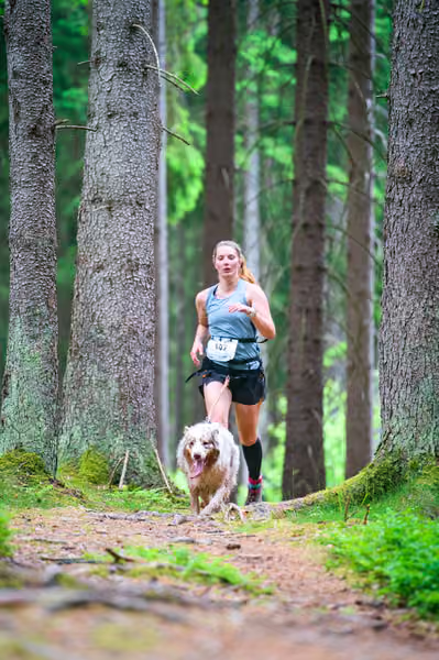 Krkonošský canicross - Jilemnice – 30. května 2026