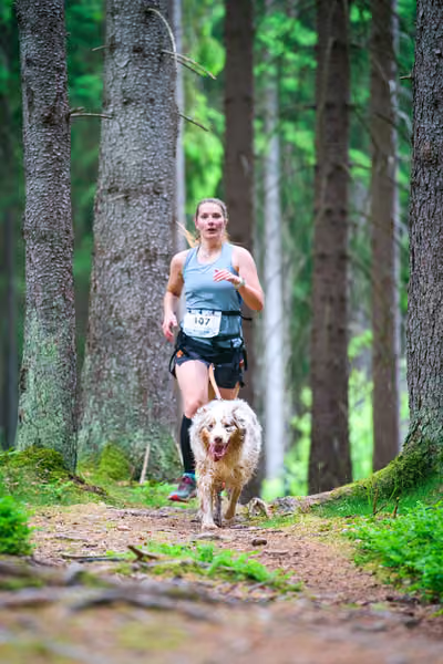 Krkonošský canicross - Jilemnice – 30. května 2026