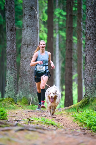 Krkonošský canicross - Jilemnice – 30. května 2026