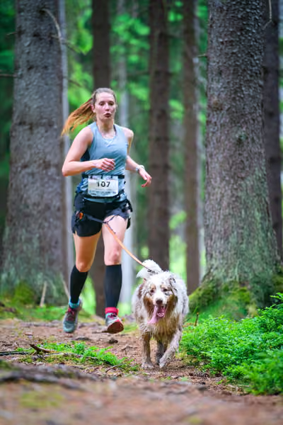 Krkonošský canicross - Jilemnice – 30. května 2026
