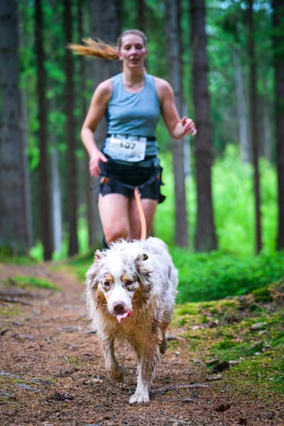 Krkonošský canicross - Jilemnice – 30. května 2026