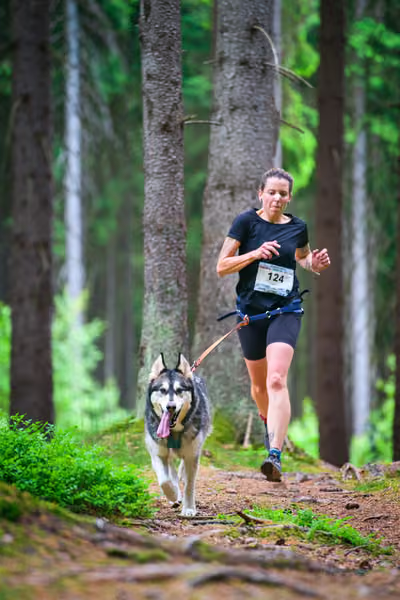 Krkonošský canicross - Jilemnice – 30. května 2026