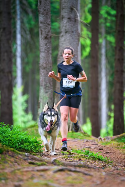Krkonošský canicross - Jilemnice – 30. května 2026