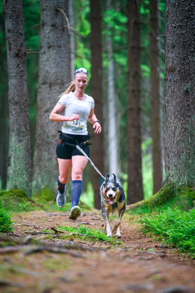 Krkonošský canicross - Jilemnice – 30. května 2026