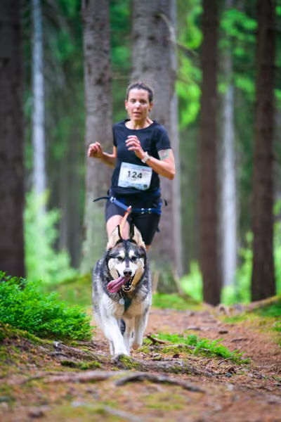 Krkonošský canicross - Jilemnice – 30. května 2026