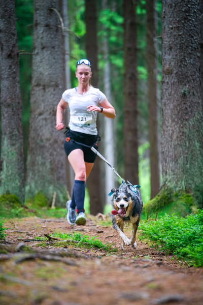 Krkonošský canicross - Jilemnice – 30. května 2026