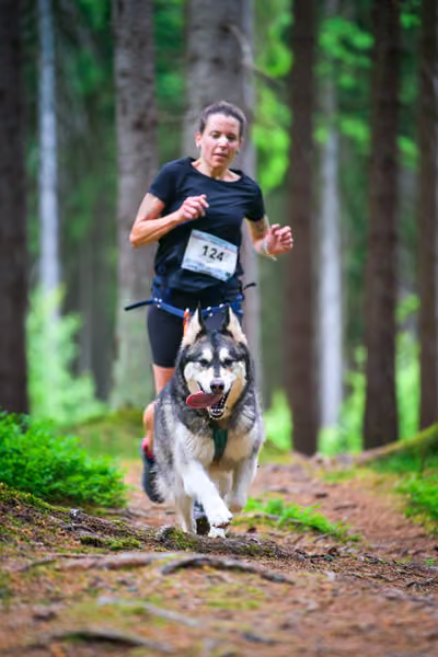 Krkonošský canicross - Jilemnice – 30. května 2026