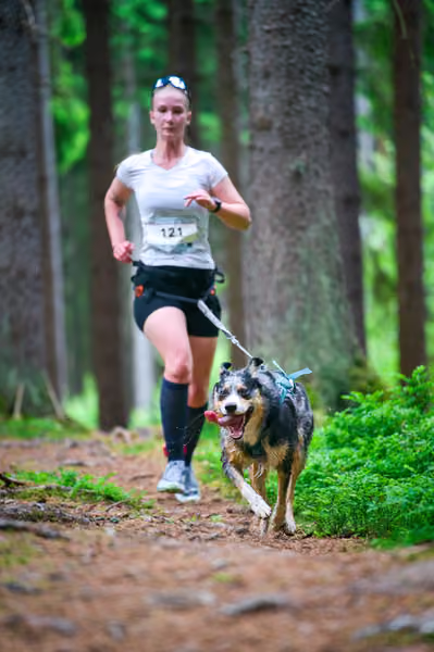 Krkonošský canicross - Jilemnice – 30. května 2026