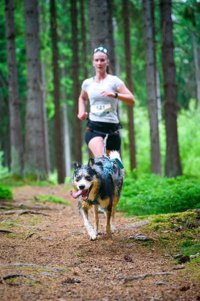 Krkonošský canicross - Jilemnice – 30. května 2026
