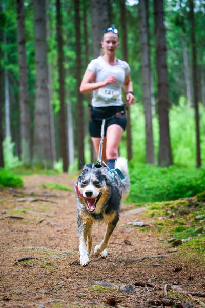 Krkonošský canicross - Jilemnice – 30. května 2026