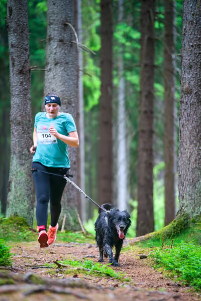 Krkonošský canicross - Jilemnice – 30. května 2026