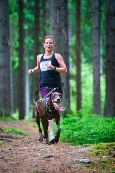 Krkonošský canicross - Jilemnice – 30. května 2026