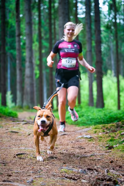 Krkonošský canicross - Jilemnice – 30. května 2026