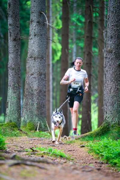 Krkonošský canicross - Jilemnice – 30. května 2026