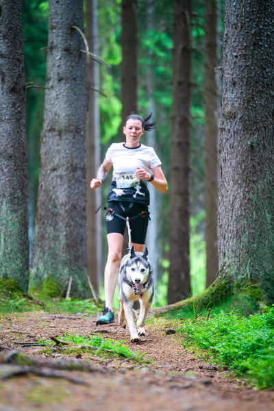 Krkonošský canicross - Jilemnice – 30. května 2026
