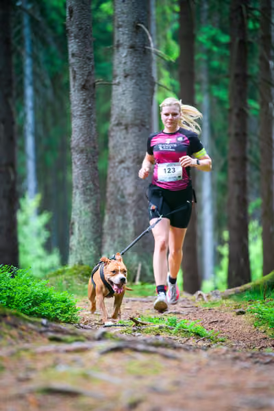 Krkonošský canicross - Jilemnice – 30. května 2026