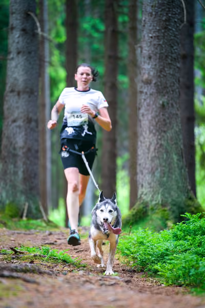 Krkonošský canicross - Jilemnice – 30. května 2026