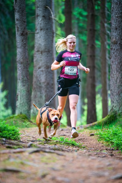 Krkonošský canicross - Jilemnice – 30. května 2026