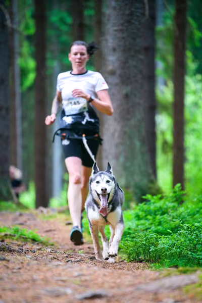 Krkonošský canicross - Jilemnice – 30. května 2026