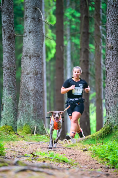 Krkonošský canicross - Jilemnice – 30. května 2026