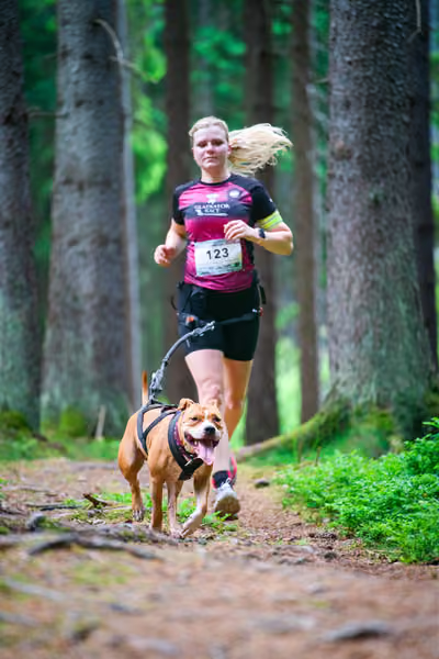 Krkonošský canicross - Jilemnice – 30. května 2026