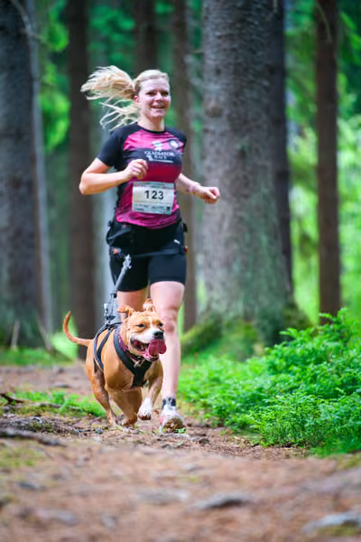 Krkonošský canicross - Jilemnice – 30. května 2026