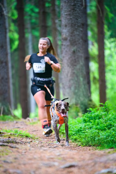Krkonošský canicross - Jilemnice – 30. května 2026