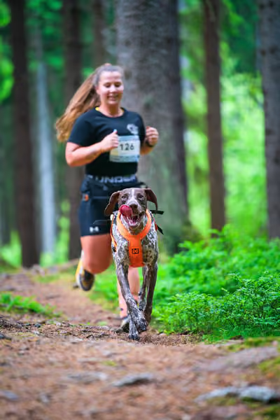 Krkonošský canicross - Jilemnice – 30. května 2026