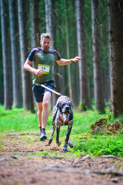 Krkonošský canicross - Jilemnice – 30. května 2026