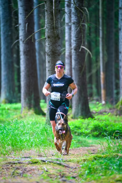 Krkonošský canicross - Jilemnice – 30. května 2026