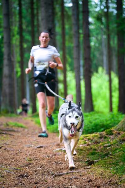 Krkonošský canicross - Jilemnice – 30. května 2026