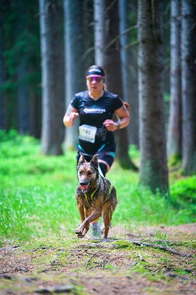 Krkonošský canicross - Jilemnice – 30. května 2026
