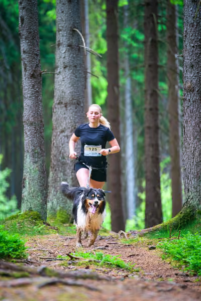 Krkonošský canicross - Jilemnice – 30. května 2026