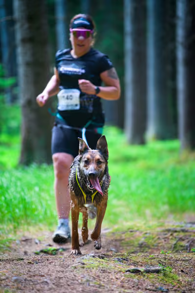 Krkonošský canicross - Jilemnice – 30. května 2026