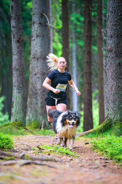 Krkonošský canicross - Jilemnice – 30. května 2026