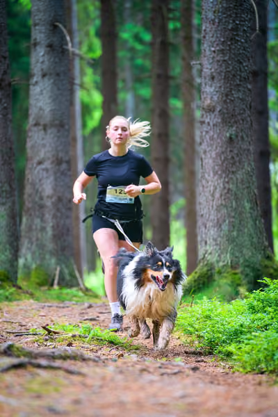 Krkonošský canicross - Jilemnice – 30. května 2026