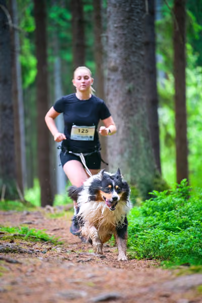 Krkonošský canicross - Jilemnice – 30. května 2026