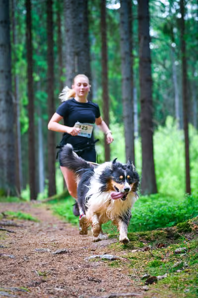 Krkonošský canicross - Jilemnice – 30. května 2026