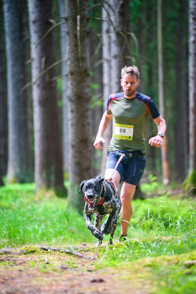 Krkonošský canicross - Jilemnice – 30. května 2026