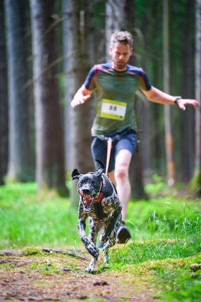 Krkonošský canicross - Jilemnice – 30. května 2026