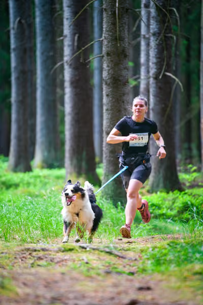 Krkonošský canicross - Jilemnice – 30. května 2026