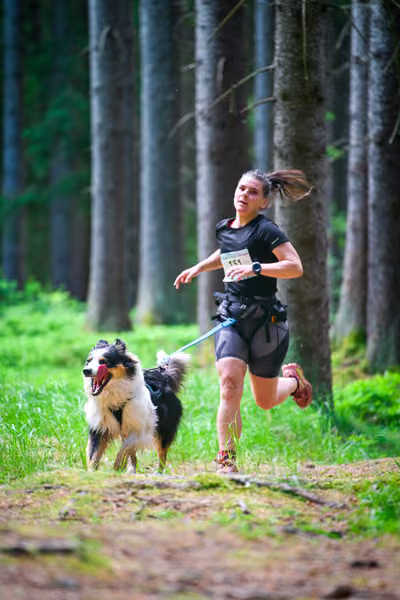 Krkonošský canicross - Jilemnice – 30. května 2026