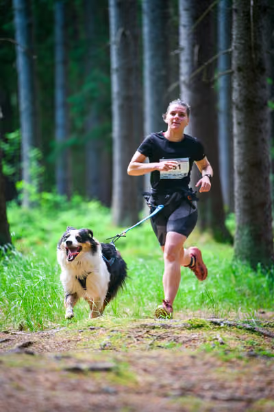 Krkonošský canicross - Jilemnice – 30. května 2026