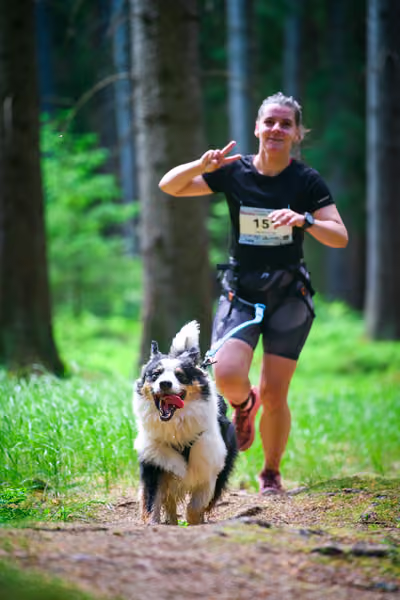 Krkonošský canicross - Jilemnice – 30. května 2026