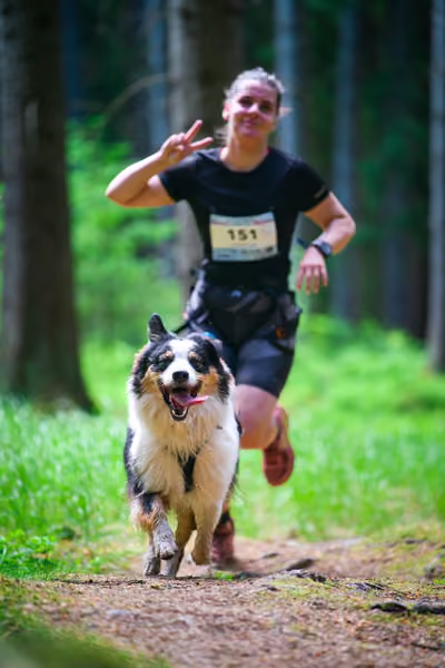 Krkonošský canicross - Jilemnice – 30. května 2026